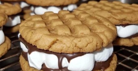Peanut Butter S'mores Sandwich Cookies